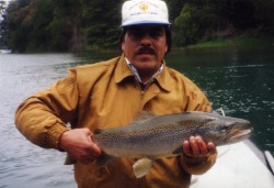 VERY NICE BROWN -- YELCHO RIVER