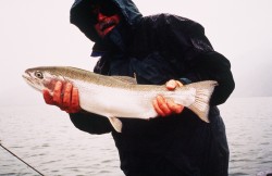 NICE RAINBOW  -- LAKE YELCHO