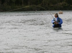 HOOKED UP TO STEELHEAD AT ESTUARY