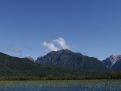 REED BEDS AT NORTH END OF LAKE