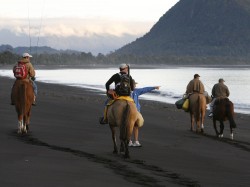 COMING BACK UP THE BEACH FROM THE RIO BLANCO ESTUARY AND SEEING A KILLER WHALE JUST OFF SHORE