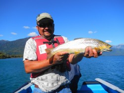 BROWN IN LAKE YELCHO