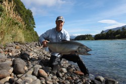 Chinook salmon 2013