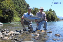 CHINOOK RIO YELCHO  2013