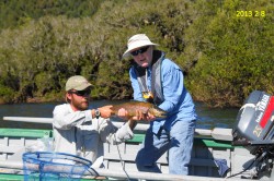 NICE BROWN LAGO YELCHO