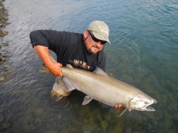 NICE CHINOOK READY FOR RELEASE 2013