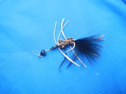 #2 YUK BUG AFTER 3 KINGS!