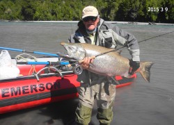 Giant Chinook for IGFA record 2015