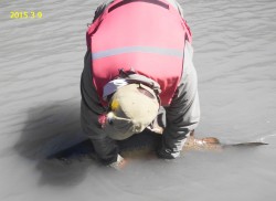 PATRICIO REVIVING THE GIANT SALMON