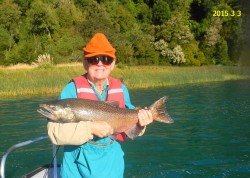 TOM TRIBOLET CONSOLING HIS CHINOOK