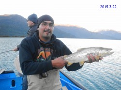 ATLANTIC SALMON - LAGO YELCHO