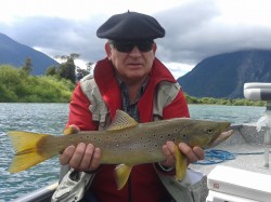 NICE FUTALEUFU BROWN