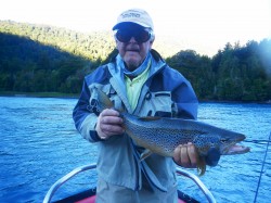 VERY NICE RIO YELCHO BROWN