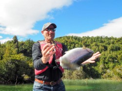 GEORGE ISAACS (HEALING WATERS) UNPLANNED RELEASE OF TROPHY RAINBOW IN LAGO YELCHO