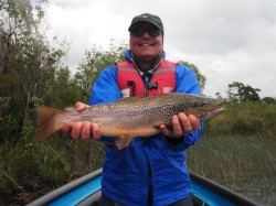 GARY (HEALING WATERS) TROPHY BROWN LAGO YELCHO
