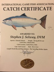 2014 IGFA CATCH CERTIFICATE CHINOOK