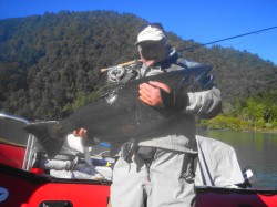 NOT LONG ENOUGH FOR NEW RECORD BUT VERY THICK