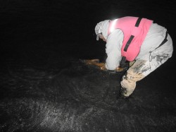 RELEASING THE TURNED KING