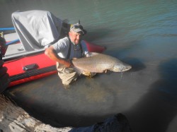 RELEASING A LARGE KING