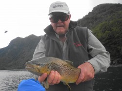 NICE BROWN EYEING ANOTHER FLY