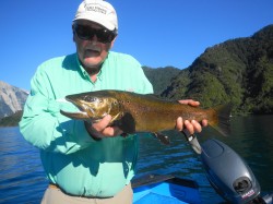 ANOTHER NICE BROWN AT BAY OF LIONS