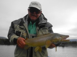 LOTS OF NICE BROWNS IN THE LAKE THIS SEASON