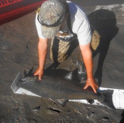 MEASURING ON THE IGFA RULER DEVICE