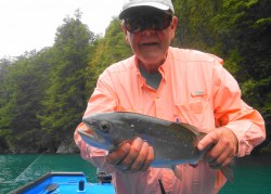 CAUGHT FROM PUMA II AND LANDED FROM BIG BLUE