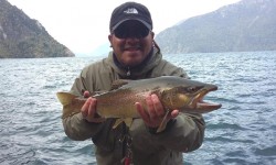 SMALL TO AVERAGE BROWN IN LAKE YELCHO
