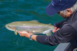 VERY NICE RAINBOW FROM LAKE YELCHO