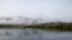 OUT EARLY IN THE MORNING WHEN IT IS HOT