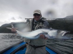 LARGE MACKEREL IN THE RAIN