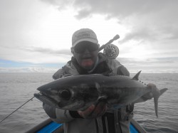large tuna