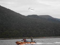 HEADING FOR THE BIRDS WITH CORCOVADO VOLCANO IN BACK GROUND