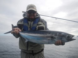 NICE SLENDER TUNA