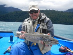 VERY NICE BROWN - LAKE YELCHO