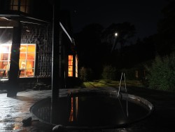 ANYONE FOR A MOONLIGHT DIP