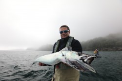 BIG MACKEREL WITH BIG TEETH