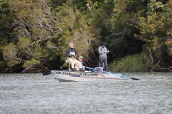 LOOKING FOR ROLLING KINGS