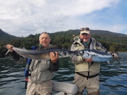 MACKEREL AND TUNA DOUBLE