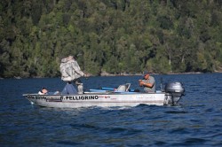 MAYBE TOO MUCH ASADO -OR VODKA