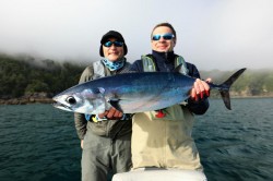 BEAUTIFUL TUNA  -- (SASHIMI)