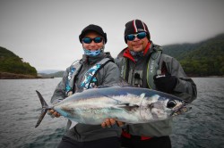 MORE FILETS AND SASHIMI