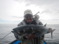 SLENDER TUNA SUBMITTED FOR IGFA WORLD RECORD - WT. 12.24 KG.