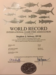 IGFA WORLD RECORD CERTIFICATE FOR COHO (SILVER) SALMON - CURRENT