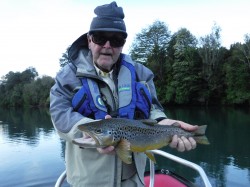 Brown ate the beetle