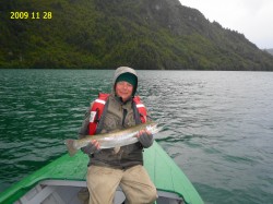 TROPHY RAINBOW - LAKE YELCHO -- QUITE LONG BUT THIN  -- 09