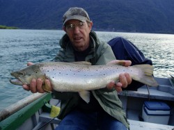 VERY NICE BROWN (OR ATLANTIC SALMON) -- LAKE YELCHO -- CAUGHT 12/10/09