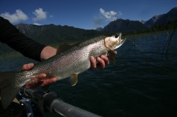 FISHING THE REEDS - LAKE YELCHO -- RESULTS: AVERAGE/SMALL RAINBOW