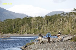 BLANCO RIVER ESTUARY WITH MICHIMAHUIDA GLACIER (PUMALIN PARK) IN BACKGROUND